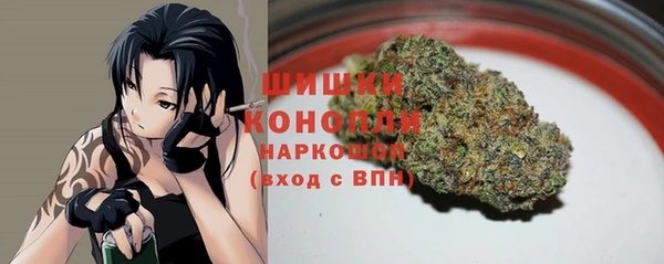 индика Кукмор