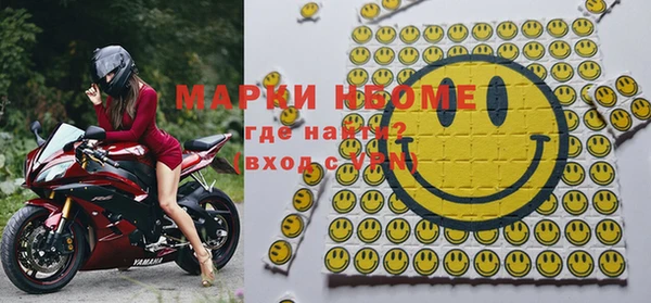 индика Кукмор