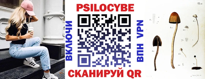 Псилоцибиновые грибы Cubensis  Купить где  Кыштым 